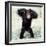 Chimpanzee Young, with Arms on Head-null-Framed Photographic Print