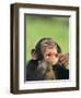 Chimpanzee-null-Framed Premium Photographic Print