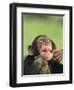 Chimpanzee-null-Framed Premium Photographic Print