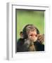 Chimpanzee-null-Framed Premium Photographic Print