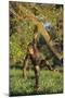 Chimpanzee-DLILLC-Mounted Photographic Print