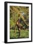 Chimpanzee-DLILLC-Framed Photographic Print