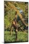 Chimpanzee-DLILLC-Mounted Photographic Print