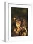 Chimpanzee-DLILLC-Framed Photographic Print