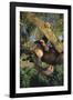 Chimpanzee-DLILLC-Framed Photographic Print