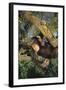 Chimpanzee-DLILLC-Framed Photographic Print