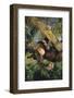 Chimpanzee-DLILLC-Framed Photographic Print