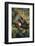 Chimpanzee-DLILLC-Framed Photographic Print