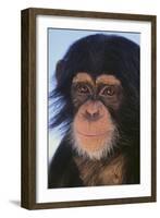 Chimpanzee-DLILLC-Framed Photographic Print