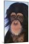 Chimpanzee-DLILLC-Mounted Photographic Print