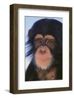 Chimpanzee-DLILLC-Framed Photographic Print