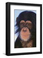 Chimpanzee-DLILLC-Framed Photographic Print