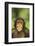 Chimpanzee-DLILLC-Framed Photographic Print