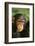 Chimpanzee-DLILLC-Framed Photographic Print