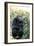 Chimpanzee-null-Framed Photographic Print