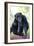 Chimpanzee-Lantern Press-Framed Art Print