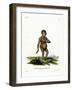 Chimpanzee-null-Framed Giclee Print