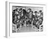 Chimpanzees Drinking Milk-null-Framed Premium Photographic Print