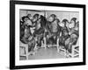 Chimpanzees Drinking Milk-null-Framed Photographic Print