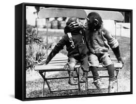 Chimpanzees Embracing-null-Framed Stretched Canvas