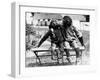 Chimpanzees Embracing-null-Framed Premium Photographic Print
