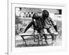 Chimpanzees Embracing-null-Framed Photographic Print