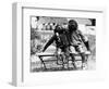 Chimpanzees Embracing-null-Framed Photographic Print