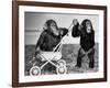 Chimpanzees Jambo and William at Twycross Zoo, England, September 19, 1984-null-Framed Photo