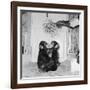 Chimpanzees of Bertram Mills Circus, 1955-Chapman-Framed Photographic Print