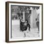 Chimpanzees of Bertram Mills Circus, 1955-Chapman-Framed Photographic Print