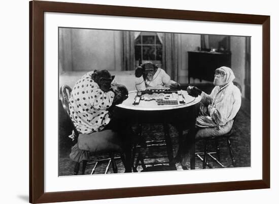 Chimpanzees Play Mahjong-null-Framed Photographic Print