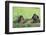 Chimpanzees Playing with Rocks and Sticks-DLILLC-Framed Premium Photographic Print