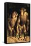 Chimpanzees-DLILLC-Framed Stretched Canvas