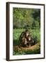 Chimpanzees-DLILLC-Framed Photographic Print