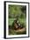 Chimpanzees-DLILLC-Framed Photographic Print