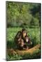 Chimpanzees-DLILLC-Mounted Photographic Print