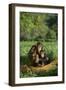 Chimpanzees-DLILLC-Framed Photographic Print