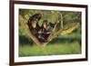 Chimpanzees-DLILLC-Framed Photographic Print