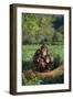 Chimpanzees-DLILLC-Framed Photographic Print