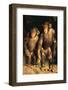 Chimpanzees-DLILLC-Framed Photographic Print