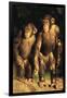 Chimpanzees-DLILLC-Framed Photographic Print