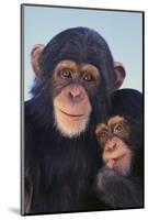 Chimpanzees-DLILLC-Mounted Photographic Print