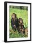 Chimpanzees-DLILLC-Framed Photographic Print