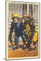 Chimps in Zoo, Detroit, Michigan-null-Mounted Art Print