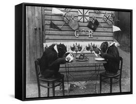 Chimps' Tea Party-null-Framed Stretched Canvas