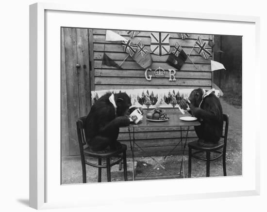 Chimps' Tea Party-null-Framed Photographic Print