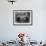 Chimps' Tea Party-null-Framed Photographic Print displayed on a wall