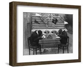 Chimps' Tea Party-null-Framed Photographic Print