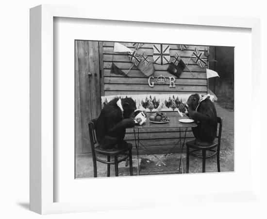 Chimps' Tea Party-null-Framed Photographic Print