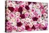 China 10MKm2 Collection - 1001 Roses-Philippe Hugonnard-Stretched Canvas